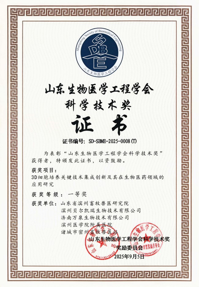 山東醫(yī)學(xué)工程學(xué)會(huì)科技獎(jiǎng)
